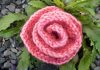 How to knit a rose
